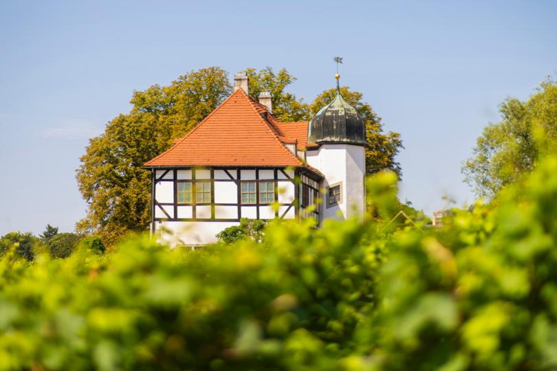 Weinbaumuseum Hoflößnitz
