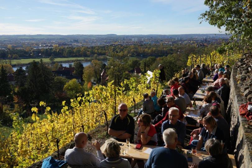Sächsischer Weinwanderweg - Etappe 2 - Von Dresden-Pillnitz nach Dresden-Wilder Mann