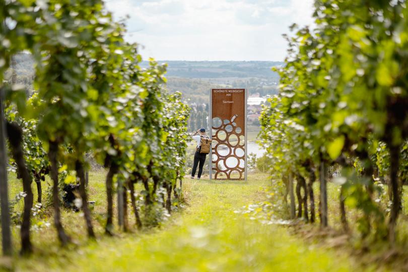 Sächsischer Weinwanderweg - Etappe 6 - Von Meißen nach Diesbar-Seußlitz