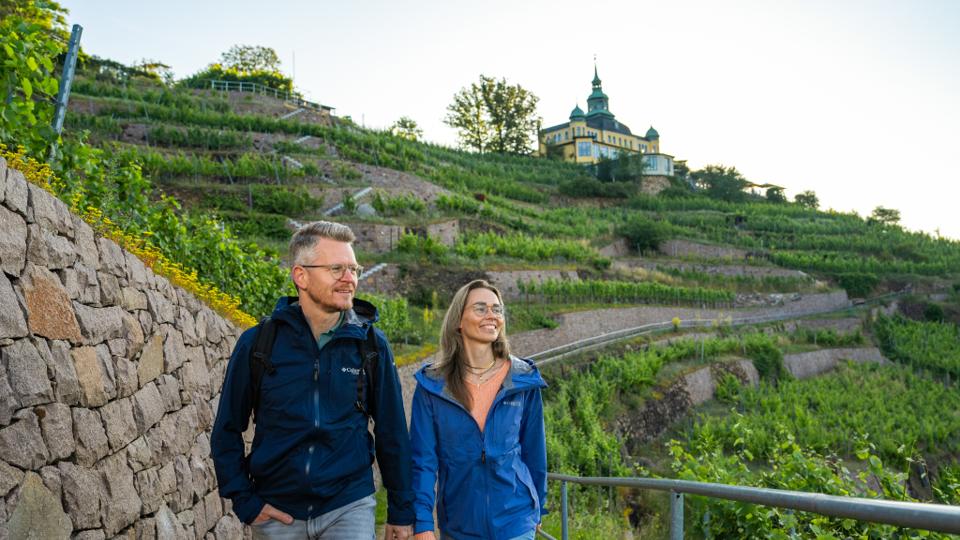 Sächsischer Weinwanderweg - Etappe 3 - Von Dresden-Wilder Mann nach Radebeul-Zitzschewig