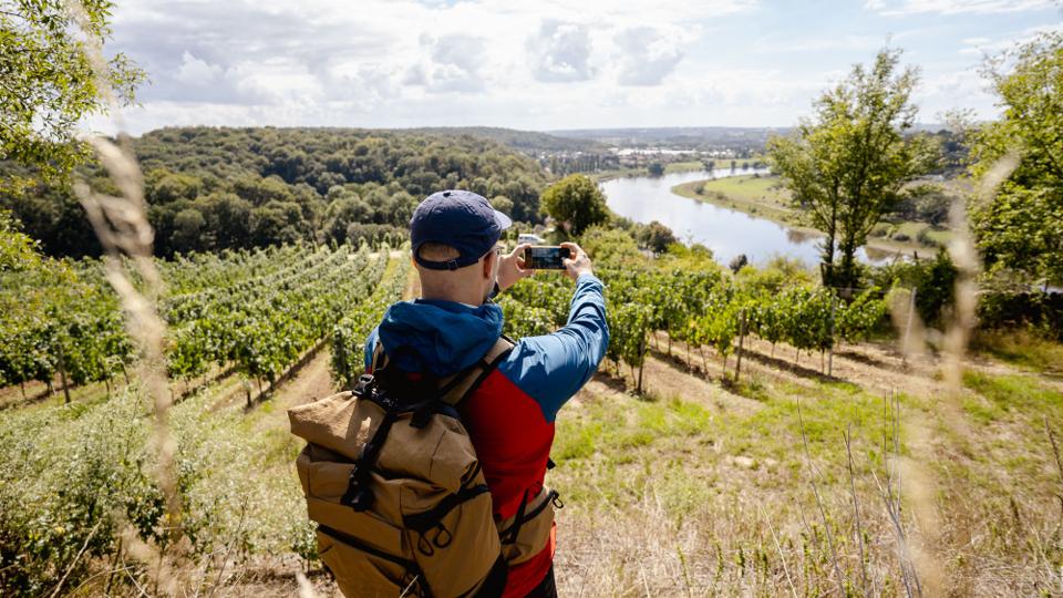 Seußlitzer Weinsichttour - Wanderliebling Dresden Elbland