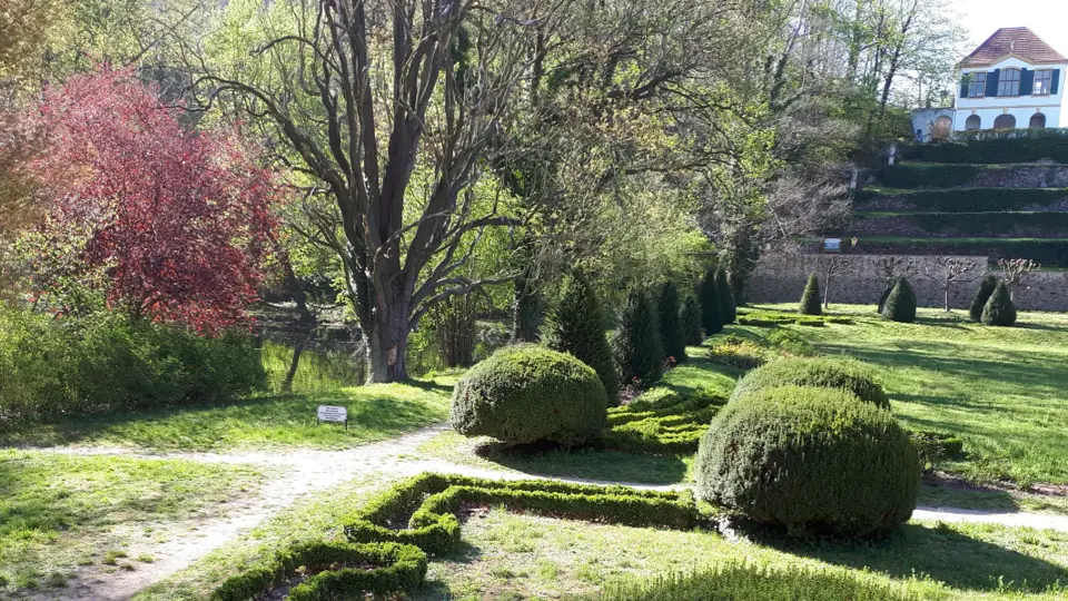 Schlosspark Diesbar-Seußlitz