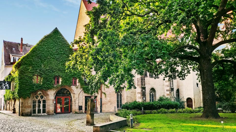 StadtMuseum Pirna