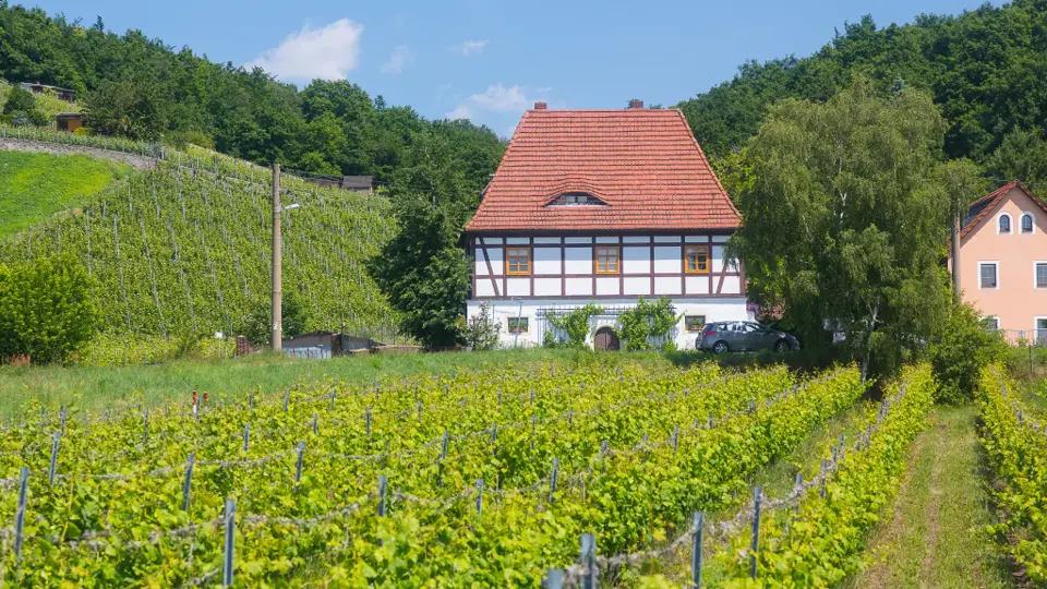Sächsischer Weinwanderweg - Etappe 4 - Von Radebeul-Zitzschewig nach Oberau