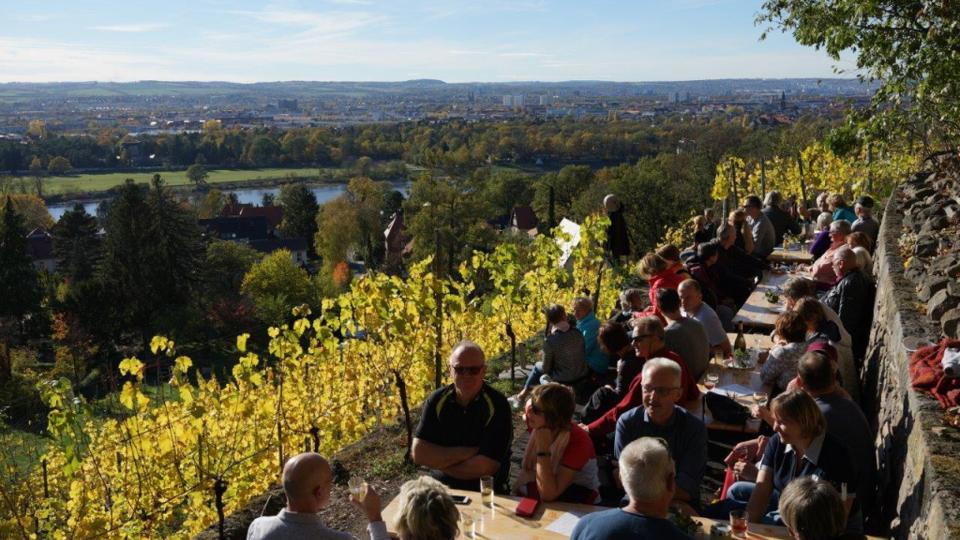 Sächsischer Weinwanderweg - Etappe 2 - Von Dresden-Pillnitz nach Dresden-Wilder Mann