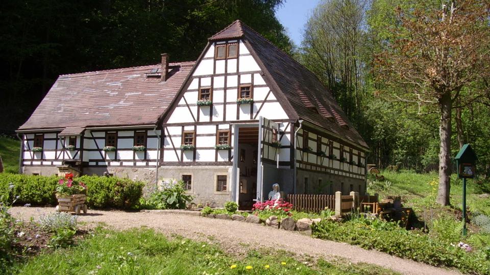 Durch das Gauernitzbach- und Regenbachtal